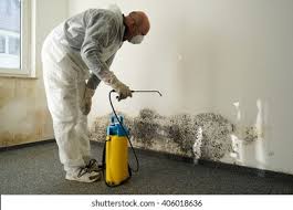 Why You Should Choose Our Mold Remediation Services in Long View, NC